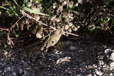 Similar image 22418808