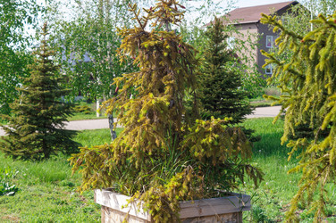 Similar image 22410539