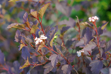 Similar image 22403273