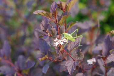 Similar image 22403274