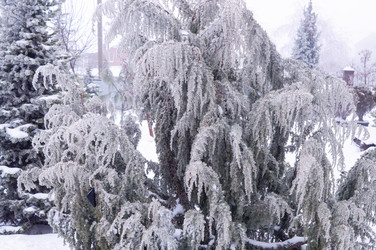 Similar image 22403297