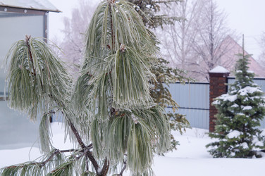 Similar image 22403540