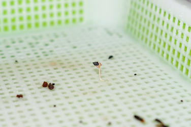 Similar image 22403541