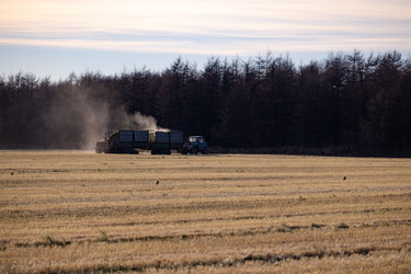 Similar image 22416615