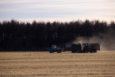 Similar image 22416616