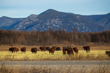 Similar image 22416619