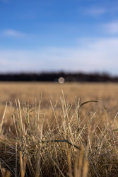 Similar image 22416392