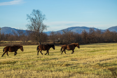 Similar image 22416393