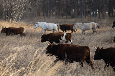 Similar image 22416395