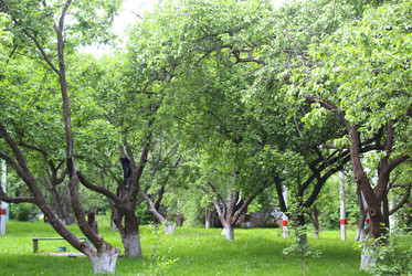 Similar image 22415464