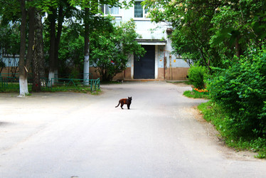 Similar image 22416269