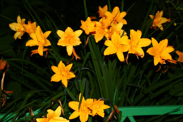 Similar image 22415452