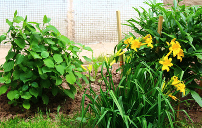 Similar image 22415454