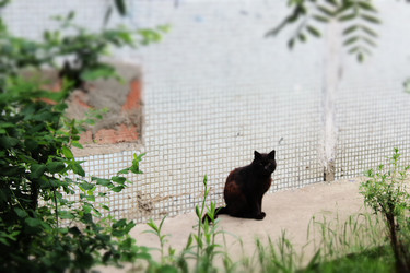 Similar image 22416270