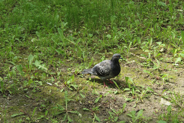 Similar image 22442732