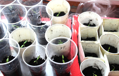 Similar image 22424769