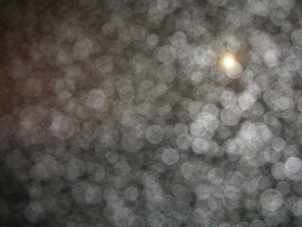 Similar image 22424770