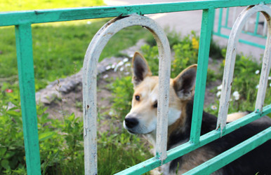 Similar image 22416271