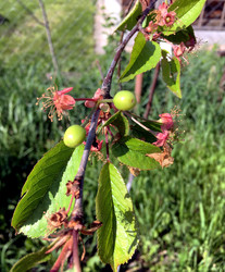 Similar image 22403349