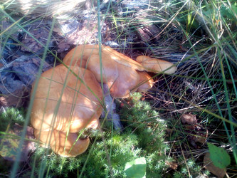 Similar image 22403353