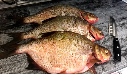 Similar image 22399609