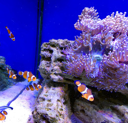 Similar image 22403357