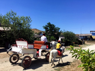 Similar image 22399610