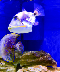 Similar image 22403360