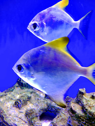 Similar image 22403377