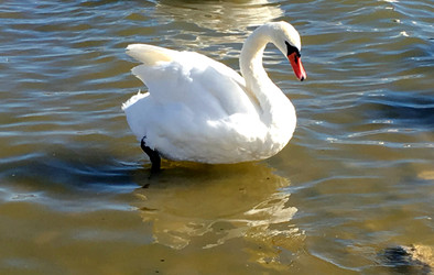 Similar image 22452268