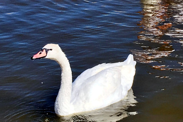 Similar image 22445542