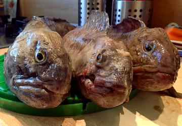 Similar image 22464533