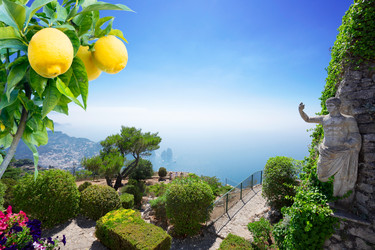 Similar image 22422864