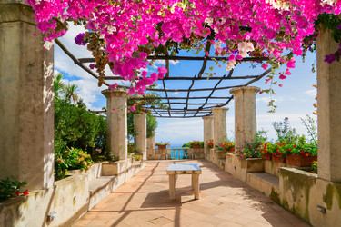 Similar image 22422890