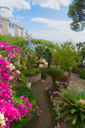 Similar image 22422891