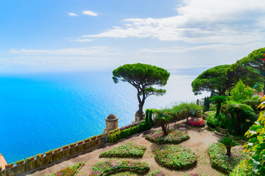 Similar image 22422896