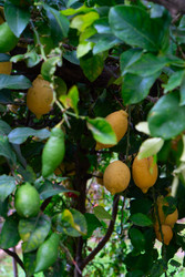 Similar image 22422903