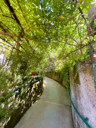 Similar image 22422905