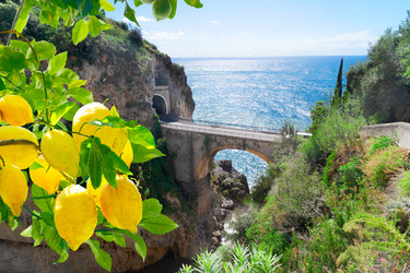 Similar image 22422907