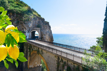 Similar image 22422911