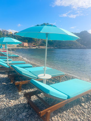 Similar image 22422921