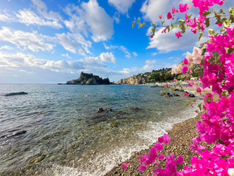 Similar image 22422934