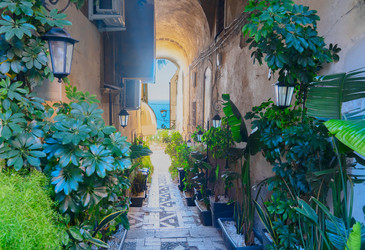 Similar image 22422937