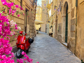 Similar image 22423926