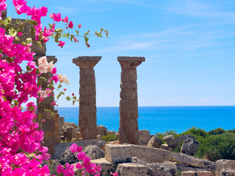 Similar image 22423930