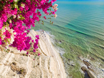 Similar image 22423935