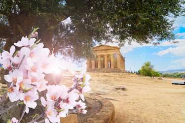 Similar image 22423937