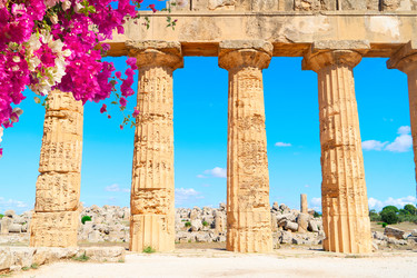 Similar image 22423943