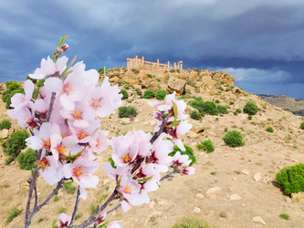 Similar image 22423947