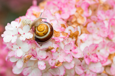 Similar image 22395691